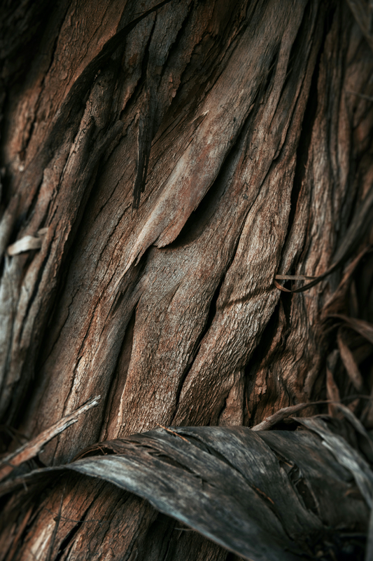 Vanilla Sandalwood 12 oz scented candle