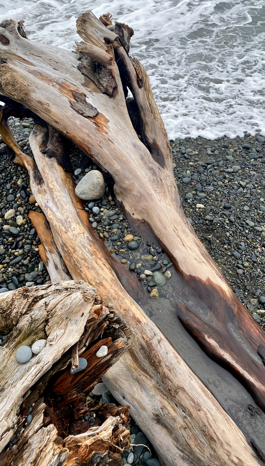 Ocean & Driftwood 10 oz scented candle
