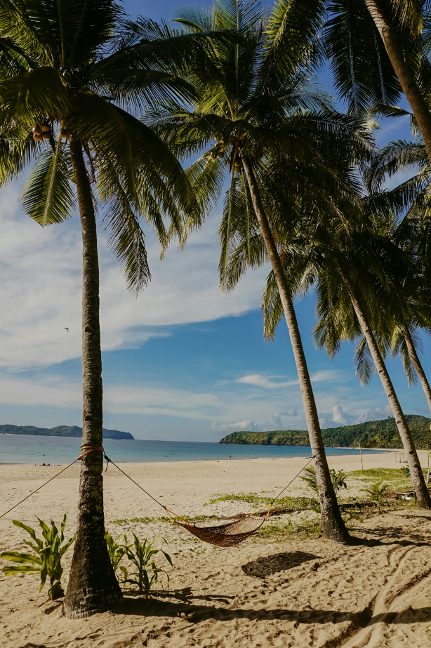Tahitian Vanilla 12 oz scented candle