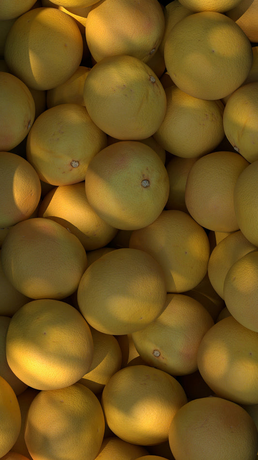 Sun Washed Citrus 12 oz scented candle