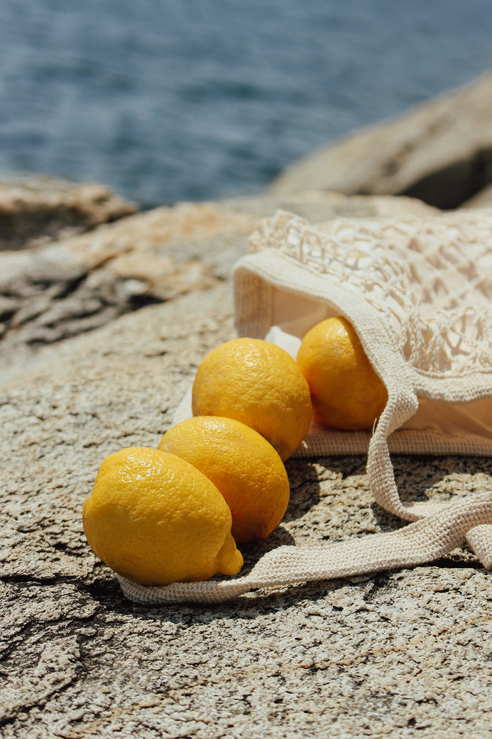 Italian Citrus 15.7 oz Liquid Hand Soap