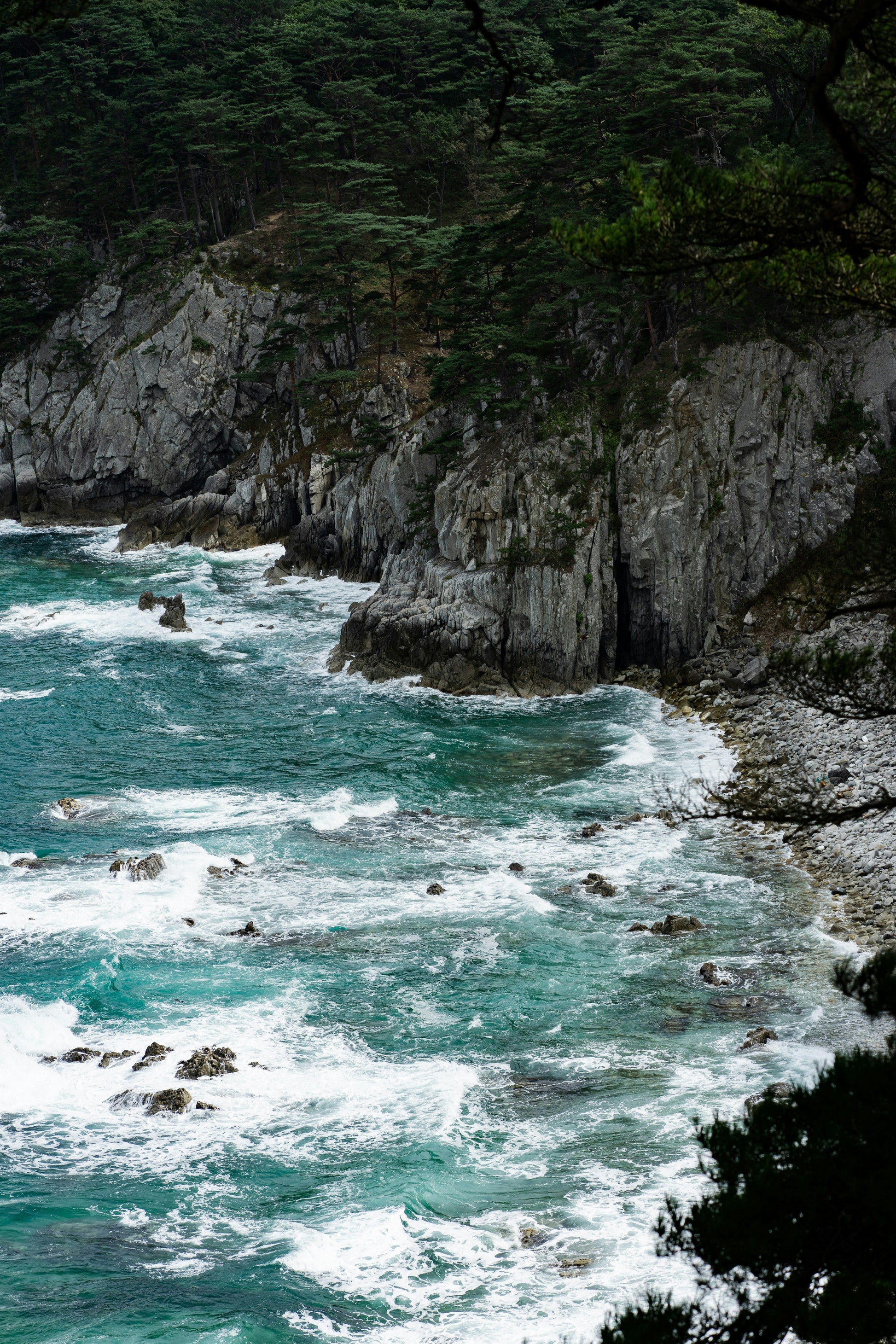 Forest & Ocean 50 ml Perfume Oil Rollerball